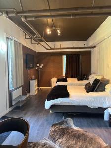 a bedroom with two beds and a tv in it at Auberge-Bistro Rose et Basilic in Alma