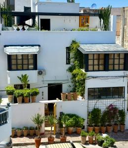 a white building with potted plants on it at Villa Augustine in Tangier