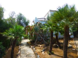 a garden with palm trees in front of a house at Villa Anna Maria in Santa Margherita di Pula
