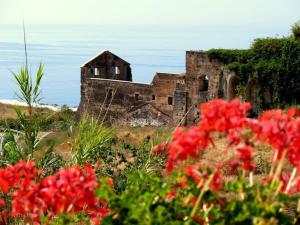 an old building sitting on top of a field with red flowers at Apartamentos Balcón de Maro in Maro