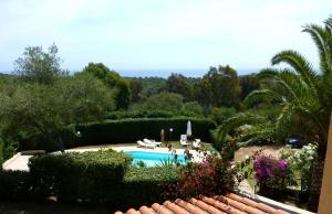 a view of a swimming pool in a garden at Villa Casanova in Santa Margherita di Pula +15 photos