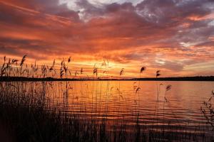 ein Sonnenuntergang über einem Wasserkörper mit hoher Grasfläche in der Unterkunft Holiday home in Markkleeberg near a lake in Markkleeberg