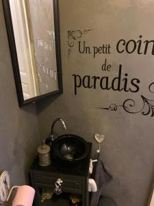 a bathroom with a sink and a mirror on the wall at Appartement haussmannien au cœur d Orléans in Orléans