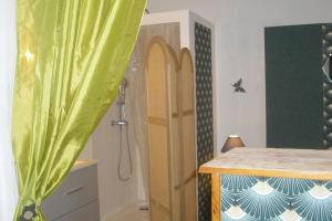 a bathroom with a shower and a shower curtain at Lou mas li Pitchoun "Le Poirier" in Gordes