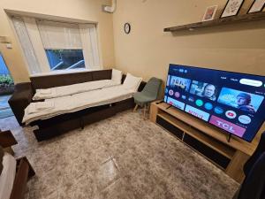 Μια τηλεόραση ή/και κέντρο ψυχαγωγίας στο Bright and Cozy Studio with Garage near the Center