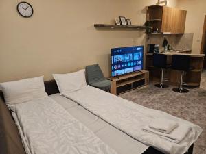 Foto dalla galleria di Bright and Cozy Studio with Garage near the Center a Sofia Altre 12 foto