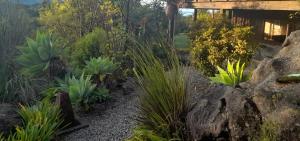 Un jardín fuera de Abel Tasman Kaiteriteri Garden & Sea View Apartment