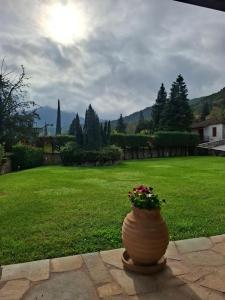 Un jarrón con flores en él sentado en un patio en Panos Stone House, en Lílaia 5 fotos más