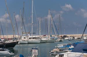 a bunch of boats docked in a harbor at Avyra Residences Chrysakama Sea View in Polis Chrysochous