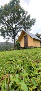 a small house in a field with a tree at Mount Camp in Marayoor