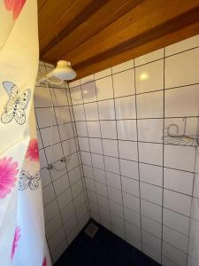 a bathroom with a shower with butterflies on the wall at Caminho das Montanhas eco in Itanhandu