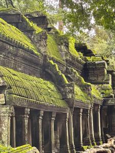 an old building with green moss on its roof at La Fontaine de Tara in Siem Reap