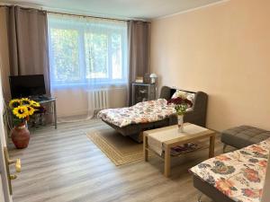 โทรทัศน์และ/หรือระบบความบันเทิงของ Sigulda's Laimas Apartment Self-Check in