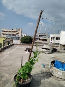 eine Anlage auf dem Dach eines Gebäudes in der Unterkunft Sri Kanakadhara Vididhillu in Vijayawāda