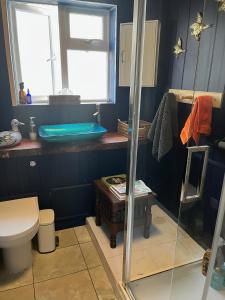 a blue bathroom with a toilet and a sink at Hikers Rest in Findon