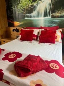 a bedroom with two beds with red pillows and a waterfall at Appartement Cocooning et Romantique in Baillargues +48 photos