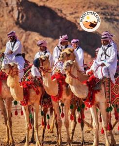 a group of men riding on camels in the desert at RUM BULSE BUBBLE lUXURY CAMP in Disah +34 photos