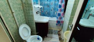 a bathroom with a toilet and a sink at Apartament Bozias Muncitori in Tîrnăveni