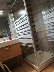a shower with a glass door next to a sink at Gîte La Rocardière XL 10 personnes in Mouchamps