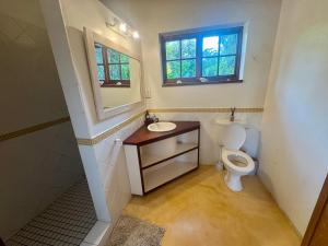 a bathroom with a toilet and a sink and a mirror at Spurwing Cottage in Knysna
