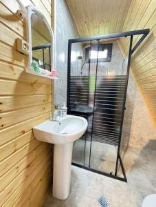 a bathroom with a sink and a shower at Romantic Villa 2BR by the Sea in Tsikhisdziri