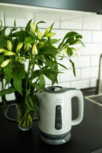 Kaffe- og tefaciliteter på GoToSeville Mini Studio