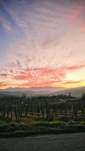vistas a un viñedo al atardecer en Casetta Mentuccia, en San Ginesio