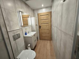 a bathroom with a toilet and a sink and a mirror at Karkonoskim Szlakiem in Kamienna Góra