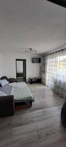 a bedroom with a bed and a mirror in it at Apartament Eduard in Orşova