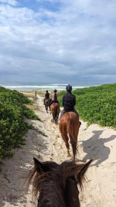 a group of people riding horses on a beach at Quiet,1 x Queen, Farm Stay Self-Contained unit in Empire Vale