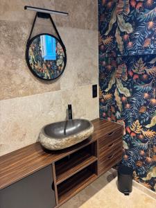 a bathroom with a stone sink and a mirror at Au Pressoir de Boisy in Pouilly-les-Nonains +10 photos