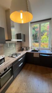 a kitchen with a stove and a large window at Le Cosy Tête d Or Cité Internationale in Caluire-et-Cuire
