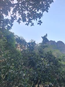 Příroda nedaleko venkovského domu