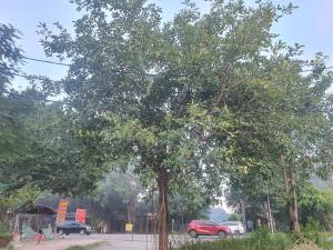 Fotografie z fotogalerie ubytování Nha Xanh Ninh Binh Homestay v destinaci Nguyên Ngoại