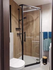 een badkamer met een glazen douche met toilet bij Apartament Opawska 2 in Gliwice