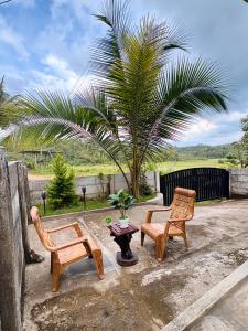 two chairs and a table and a palm tree at Swasthiks Home stay in Sakleshpur
