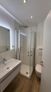 a bathroom with a shower and a sink and a toilet at Gästehaus Fries in Blankenheim +19 photos