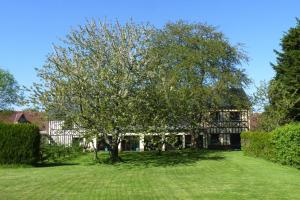 a tree in the yard of a house at Semi-detached house, Rieux in Rieux