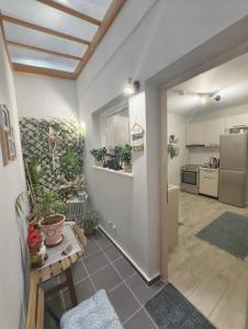 Dapur atau dapur kecil di Νόστος στο κέντρο των Ιωαννίνων