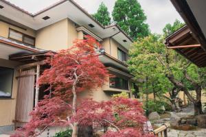 a tree with red leaves in front of a building at 嵐月-嵐山景區內獨棟別墅 in Kyoto