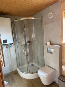 a bathroom with a shower and a toilet at Monte Vista in Rostoka +23 photos