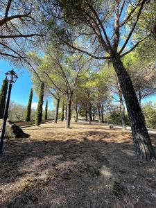 a park with trees and a street light in the shade at Villa Tiberini - Casale Il Pecino in Osteria Delle Noci