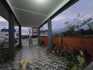 un chien allongé sur une terrasse à côté de quelques vélos dans l'établissement Evergreen Shola View, à Chikmagalur