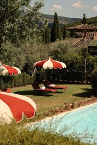 a group of umbrellas and chairs next to a pool at Terre di Baccio in Greve in Chianti