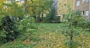 un jardín con dos árboles en el medio de un edificio en Simply GENIUS - Camping, en Berlín