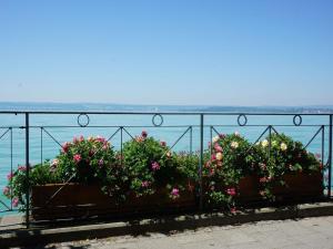 eine Gruppe Blumen in Töpfen auf einem Zaun in der Unterkunft Pension Ins Fischernetz - Mäntele in Meersburg