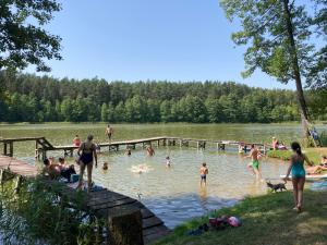 a group of people swimming in a lake at Apartament z antresolą Igły i Szyszki in Jeleniewo