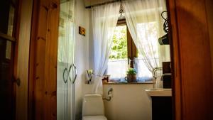 a bathroom with a toilet and a sink and a window at Chatka Margolinka in Wola Komborska +44 photos