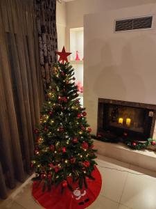 a christmas tree in a living room with a fireplace at Mary's Modern and Elegant apartment in Kalabaka