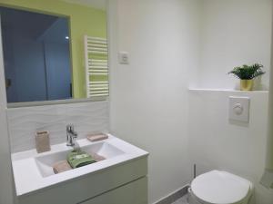 尼斯Le Virenque的一间白色浴室，配有洗手池和马桶 更多10张照片